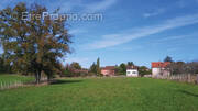 Terrain à VINCELLES