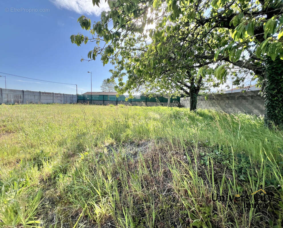 Commerce à GENESTON