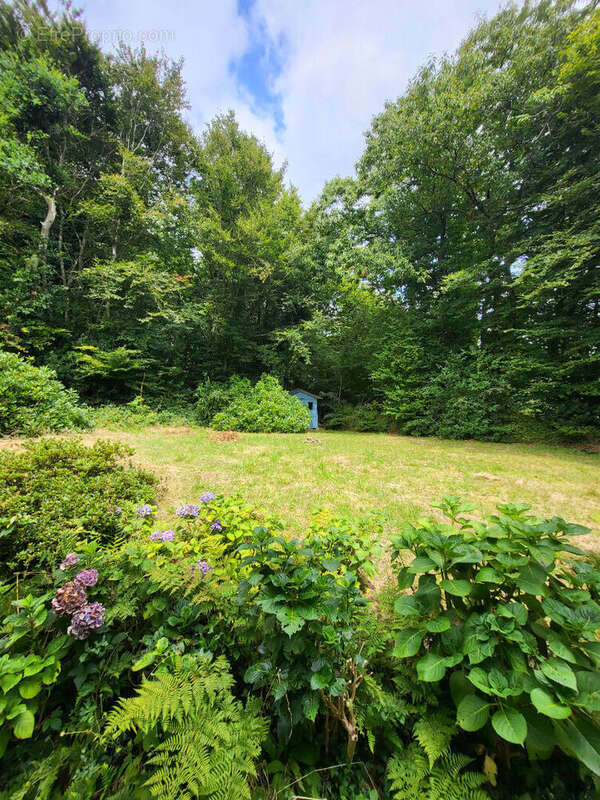 Maison à SAINT-RENAN