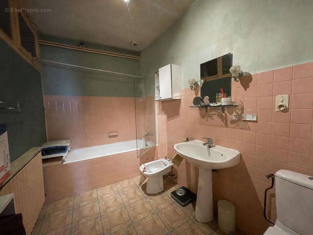 Bâtisse  à vendre alby sur cheran - photo 12