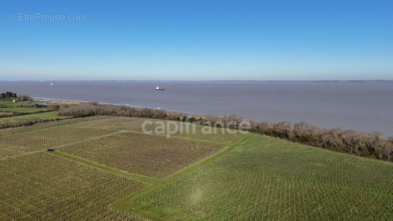 Commerce à SAINT-YZANS-DE-MEDOC