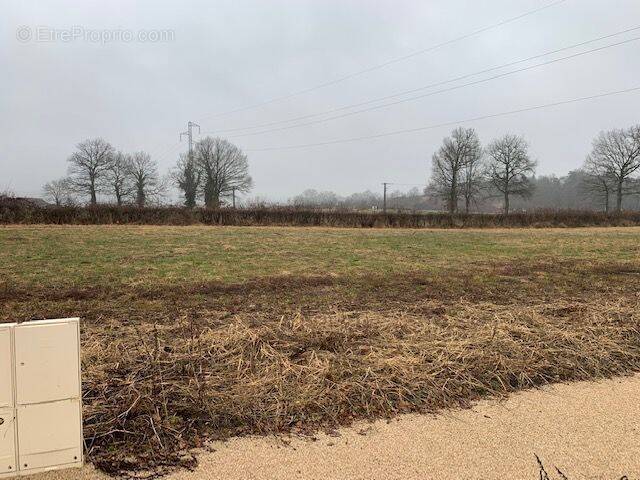 Terrain à NAUCELLES