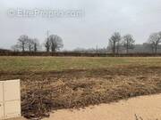 Terrain à NAUCELLES