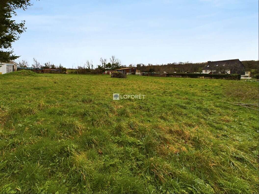 Terrain à DINEAULT