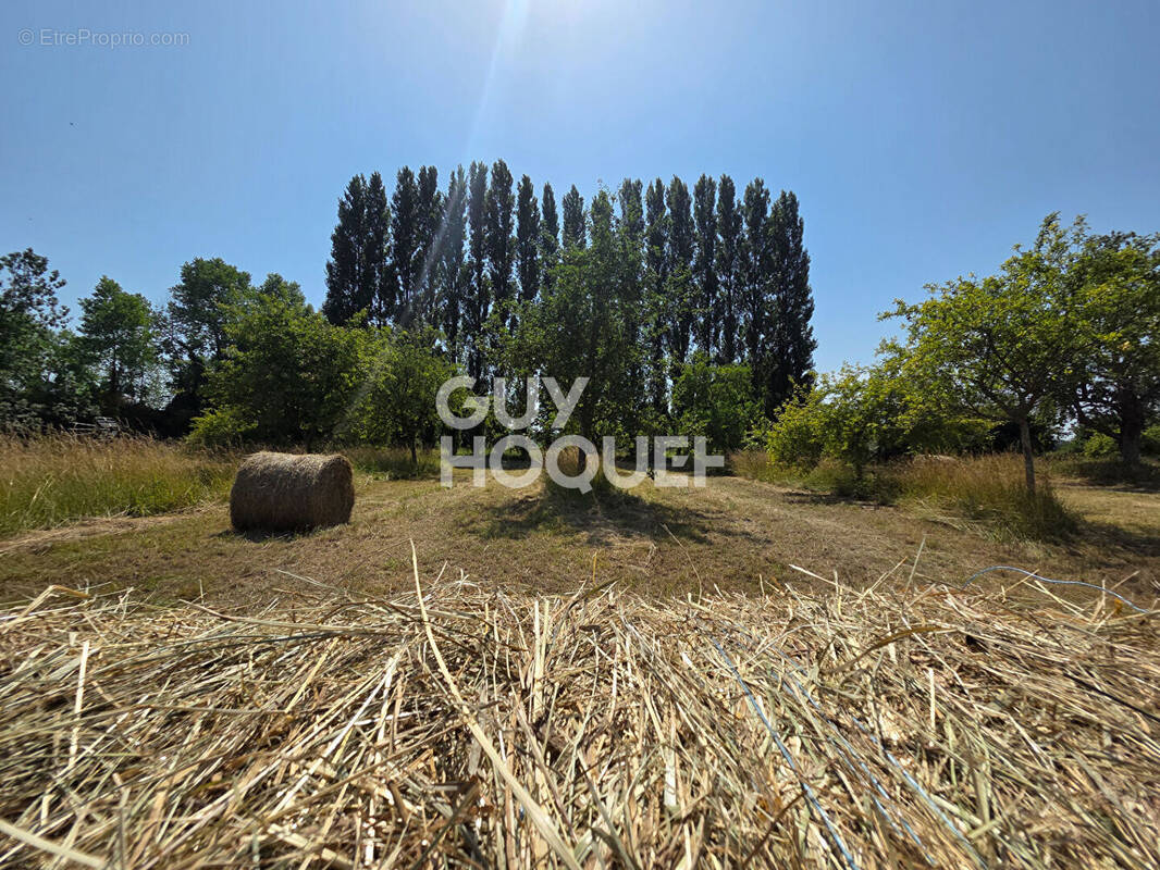 Terrain à HEURTEAUVILLE
