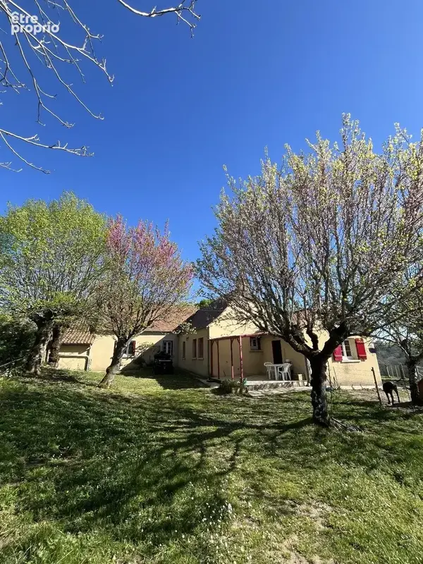 Maison et gite à Plazac, Périgord noir. - photo 4