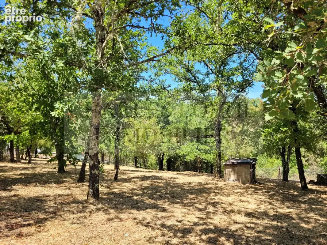 Belle maison familiale, avec piscine, dépendances et terrain de 1.7 ha - photo 2
