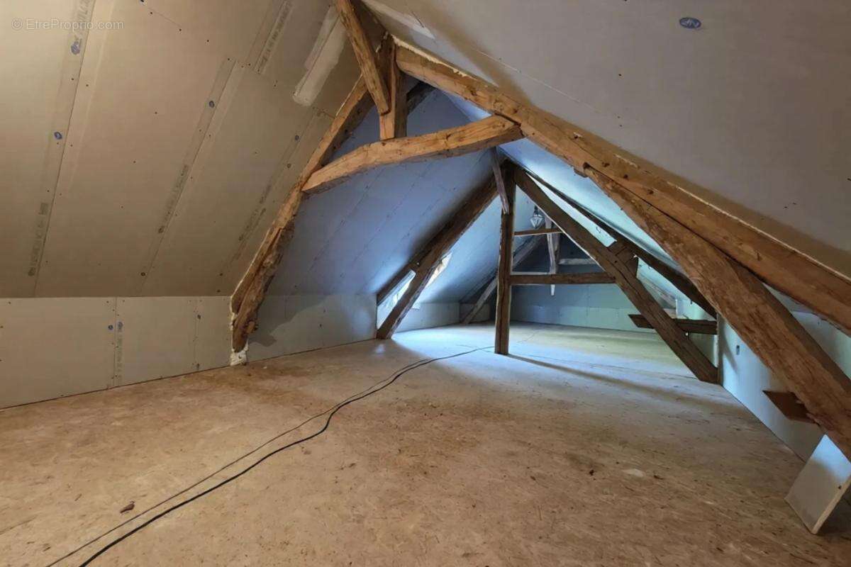 Maison 263 m² à Massay  - photo 30