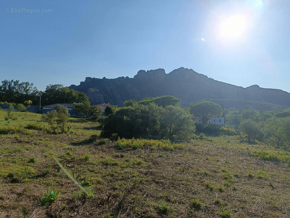 Terrain à ROQUEBRUNE-SUR-ARGENS