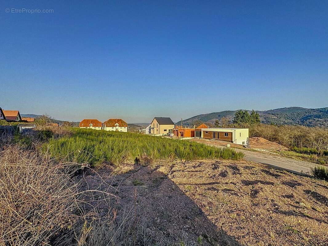 Terrain à LUTZELHOUSE