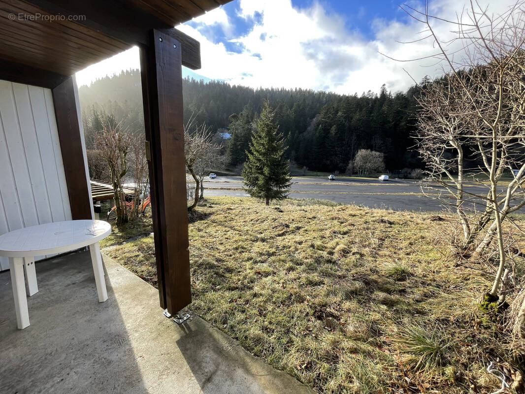 Appartement à LAVEISSIERE