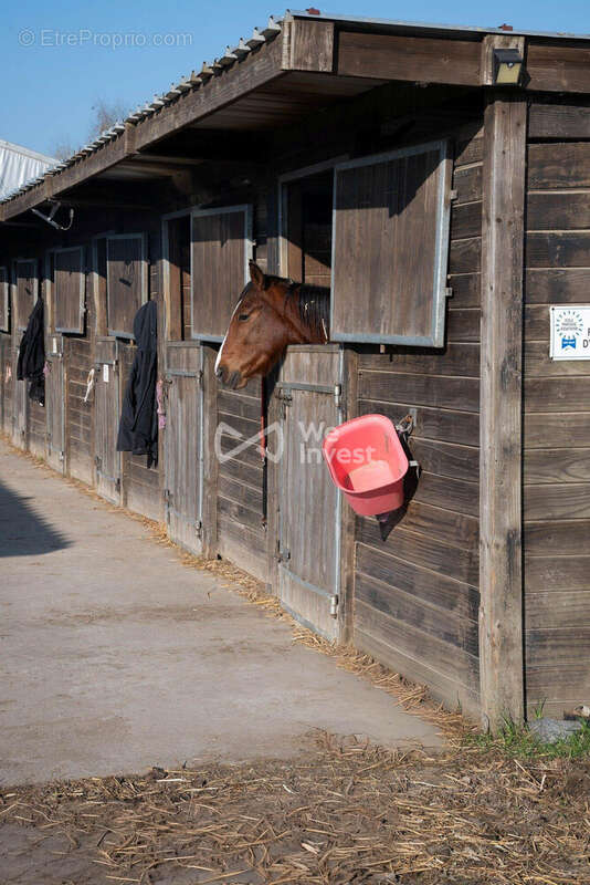 Commerce à MARLES-EN-BRIE