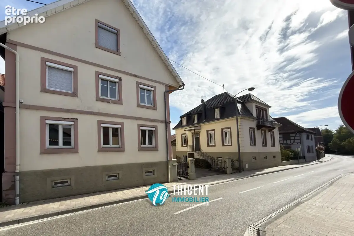 Maison 12 pièces 373 m² à vendre à Geudertheim (67170) - photo 2