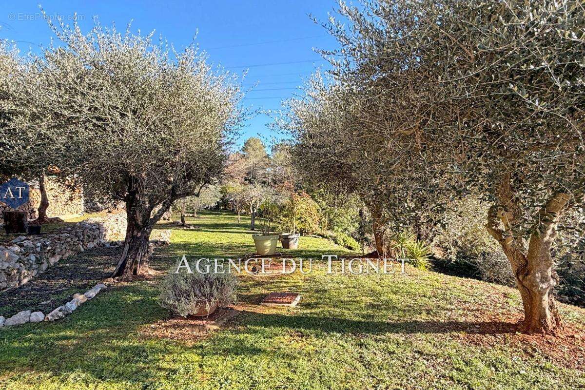 Maison à SAINT-CEZAIRE-SUR-SIAGNE