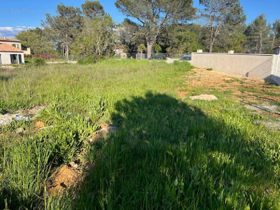 Terrain à SAINT-MAXIMIN-LA-SAINTE-BAUME