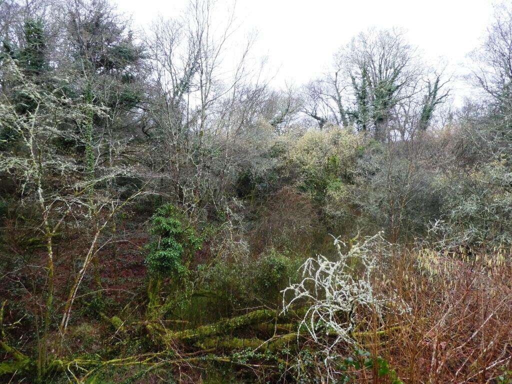 Terrain à SAINT-TUGDUAL