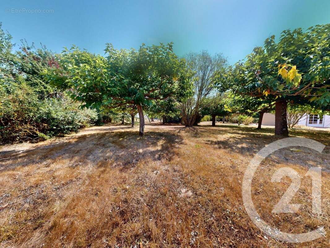 Photo 3 - Maison à PIBRAC