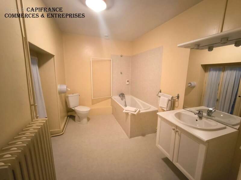 Commerce à SANCOINS