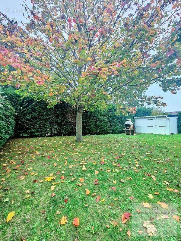 Maison à SAVIGNY-SUR-ORGE