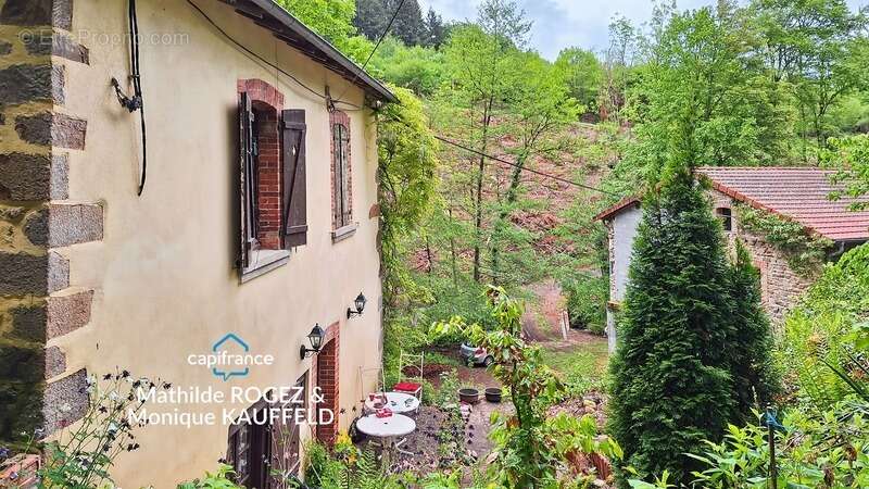 Grande demeure de charme + gîte + grand terrain - Tours-sur-Meymont - photo 10