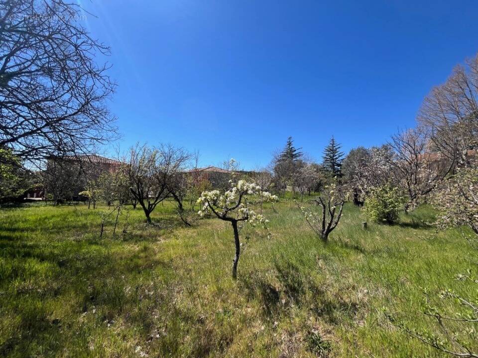Terrain à MANOSQUE