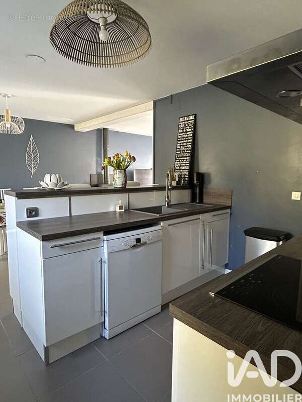 Photo 6 - Maison à SAINT-FLORENT-SUR-CHER