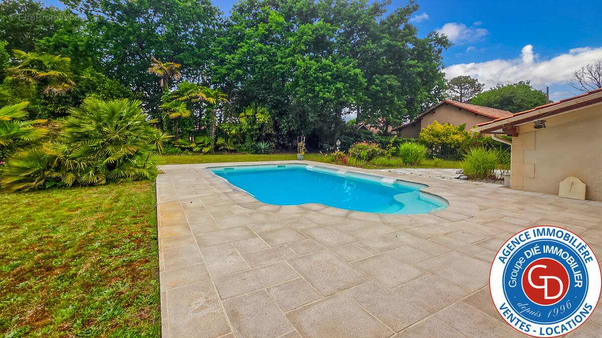 Villa avec 5 chambres dans le quartier de La Hume - photo 2