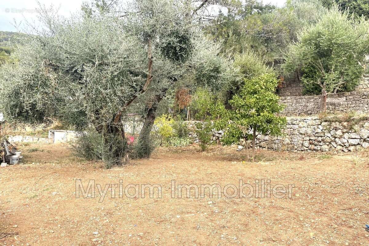 Maison à PEYMEINADE