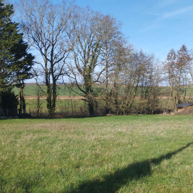 Terrain à TRIZAY-LES-BONNEVAL