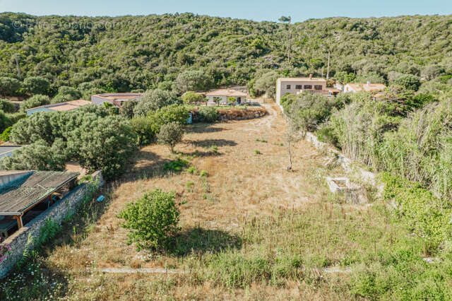 Maison avec terrain constructible de 4 260 m2 et permis accordé   Bonifacio, Vallée Saint-Julien - photo 25