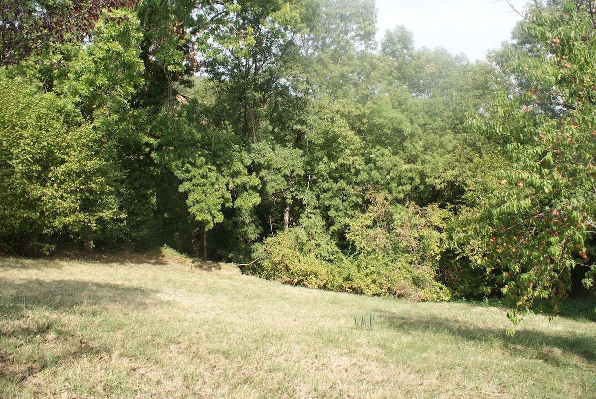Maison à COLLONGES-LA-ROUGE