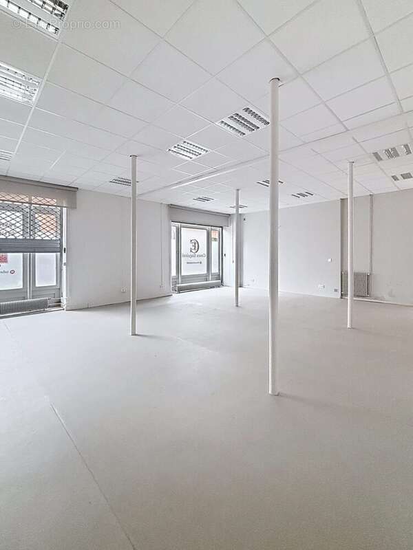 Appartement 535 m² à Toulouse  - photo 2