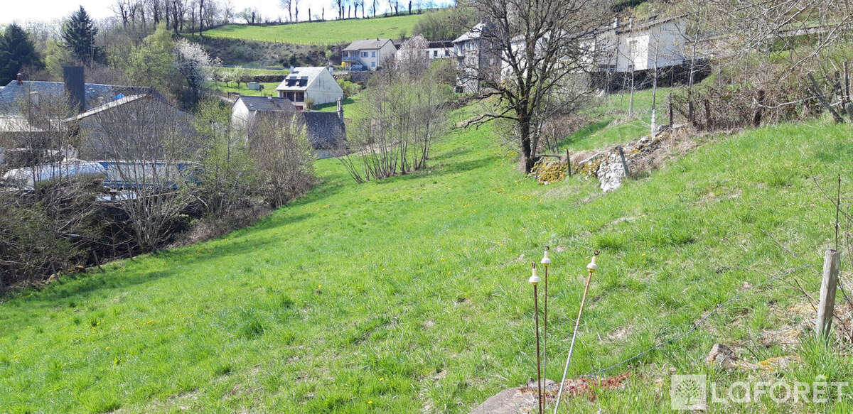 Terrain constructible 4628 m² à PIERREFORT - photo 4