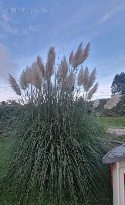 Maison à ECRAINVILLE