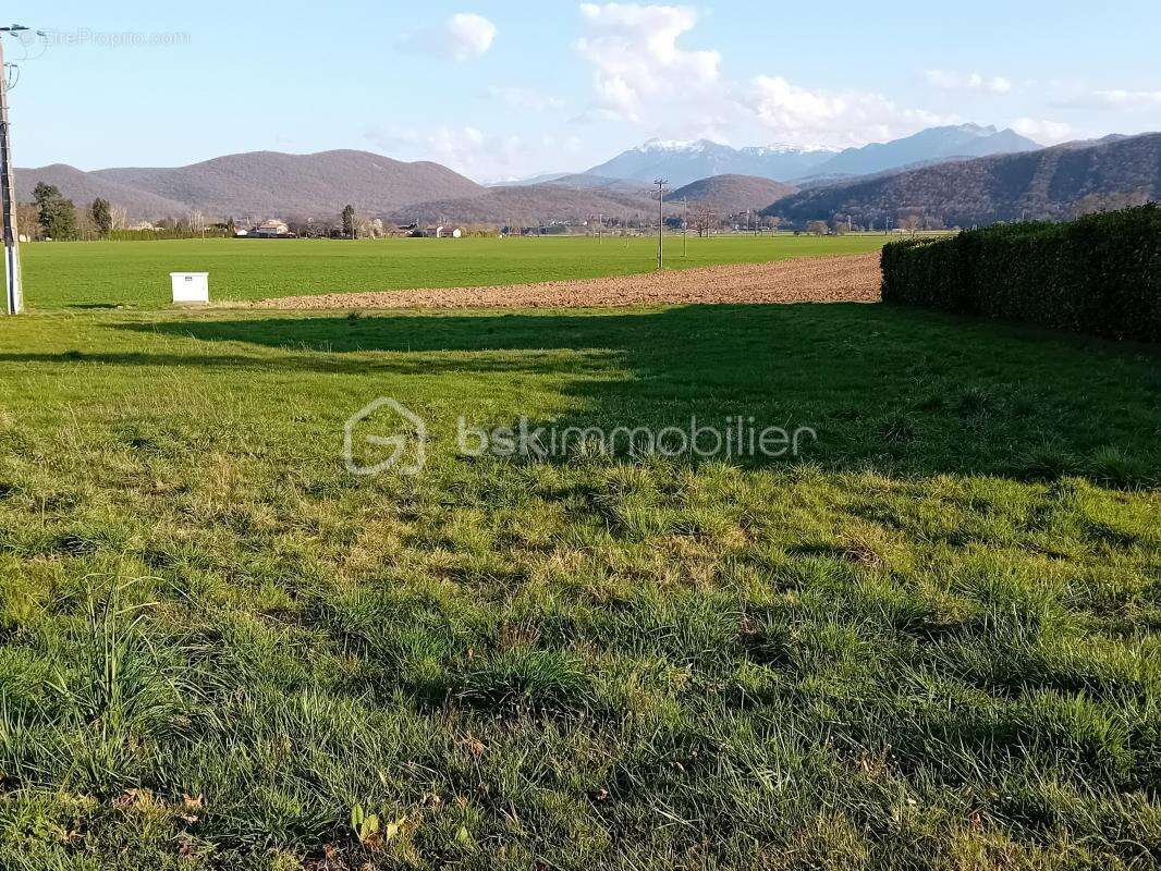 Terrain 1585 m² à Pointis-De-Riviere  - photo 2