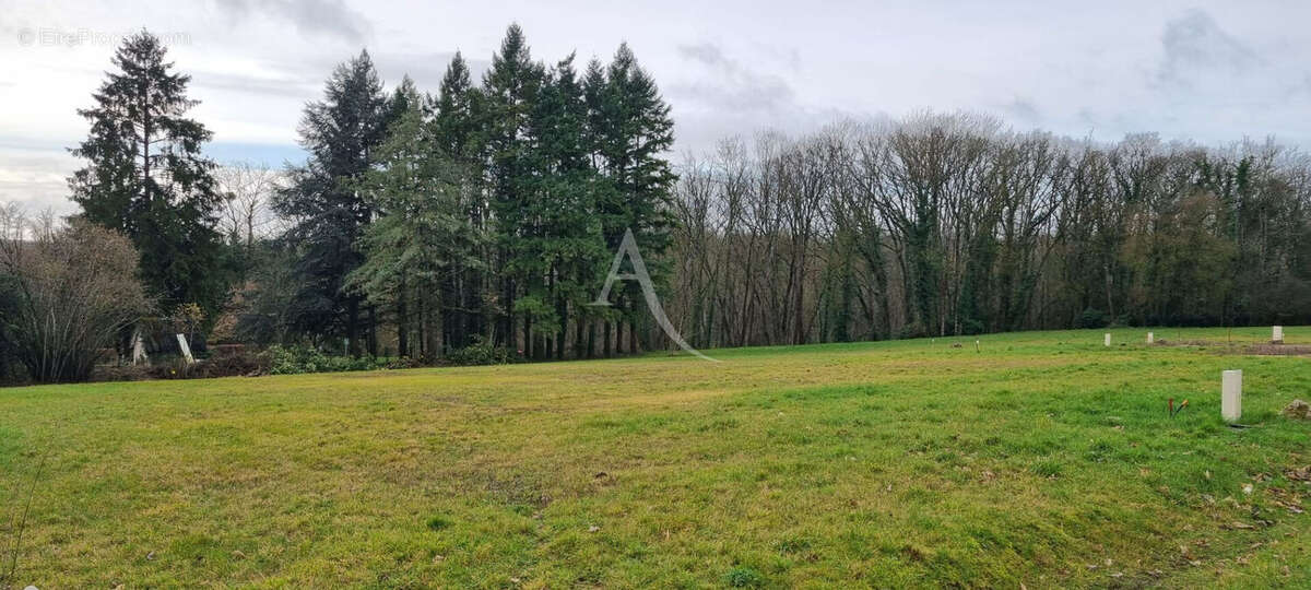 Terrain à SAINT-BOHAIRE