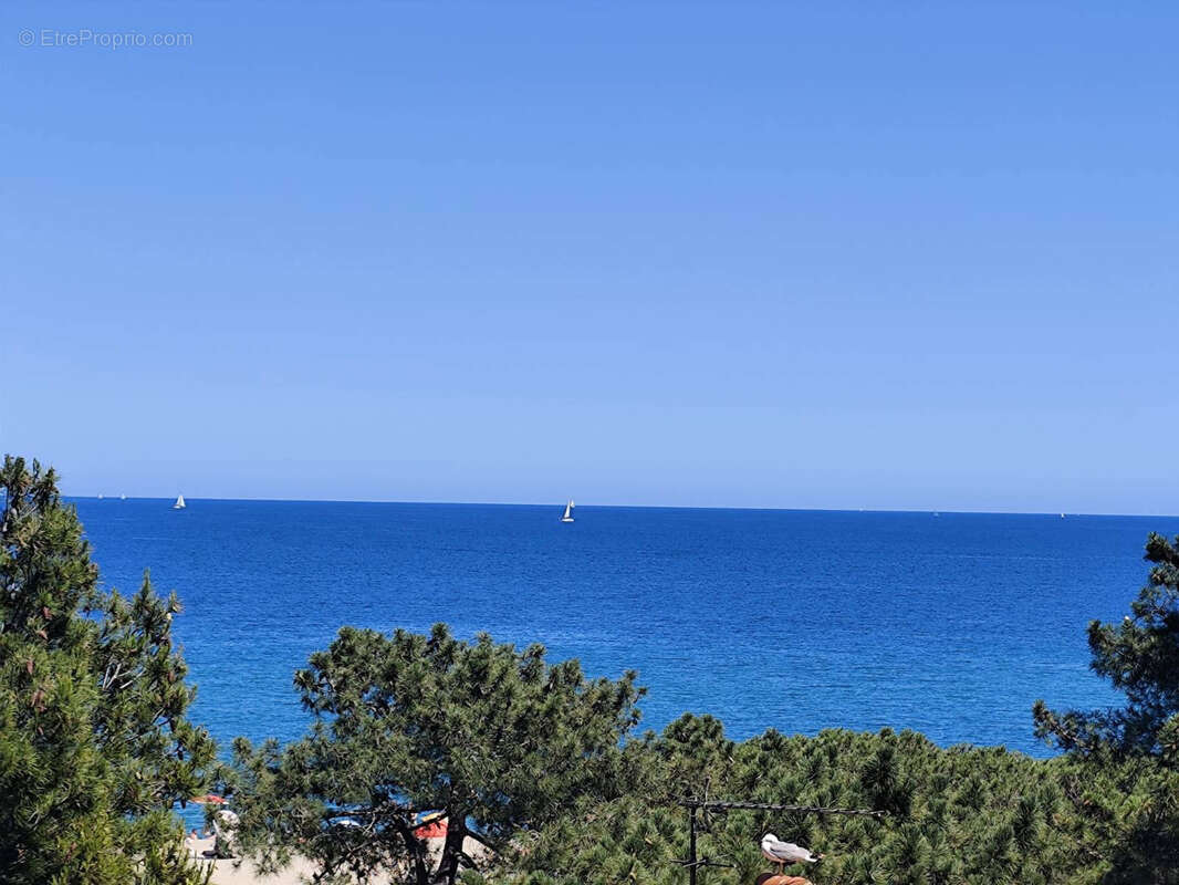 Appartement à ARGELES-SUR-MER