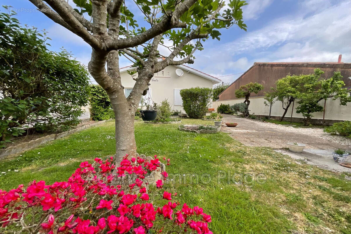Maison à SAINT-VIVIEN-DE-MEDOC