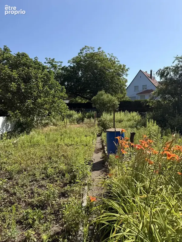 Maison 5 pièces 105 m² à vendre à Lingolsheim (67380) - photo 2