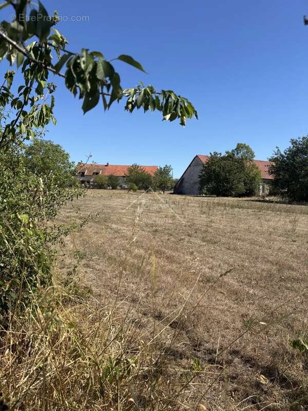 Terrain de 2334 m2 - photo 8