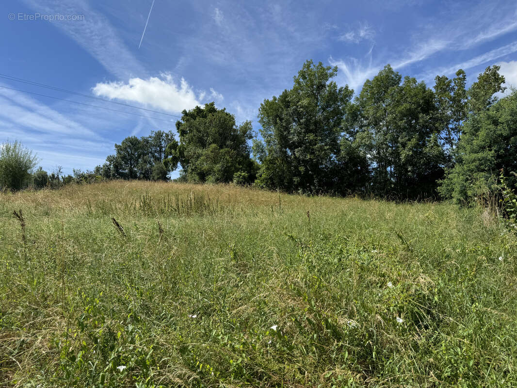 Terrain à VARETZ