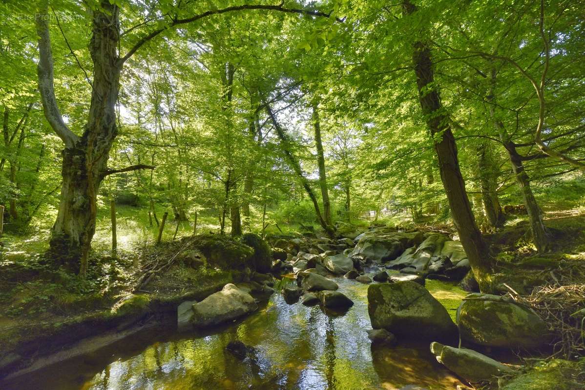 Ancien moulin à eau et ensemble immobilier de 1 000 M² avec terr - photo 5
