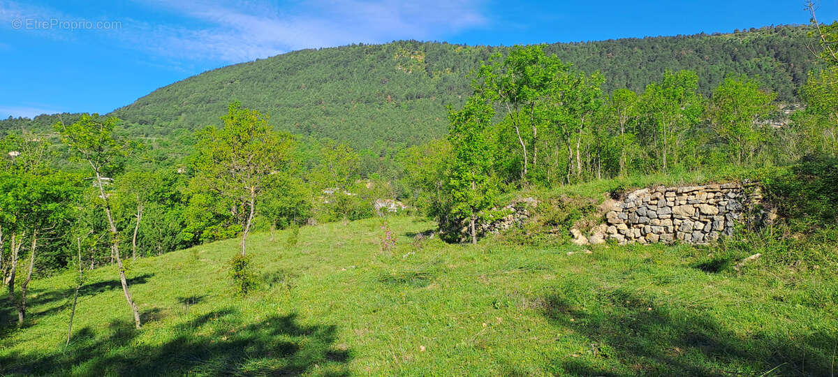 Terrain à SAINT-ETIENNE-DE-GOURGAS