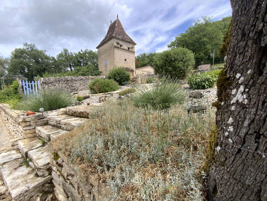 Propriété de caractère sur le Causse de Labastide-Murat – 10 hectares de nature et piste d'atterrissage privée - photo 9