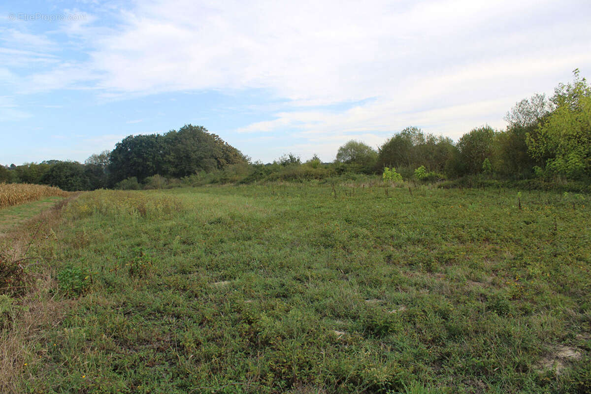 Maison à SAINT-CRICQ-CHALOSSE