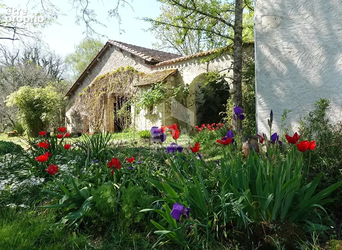 Maison 183m² à périgueux - photo 7