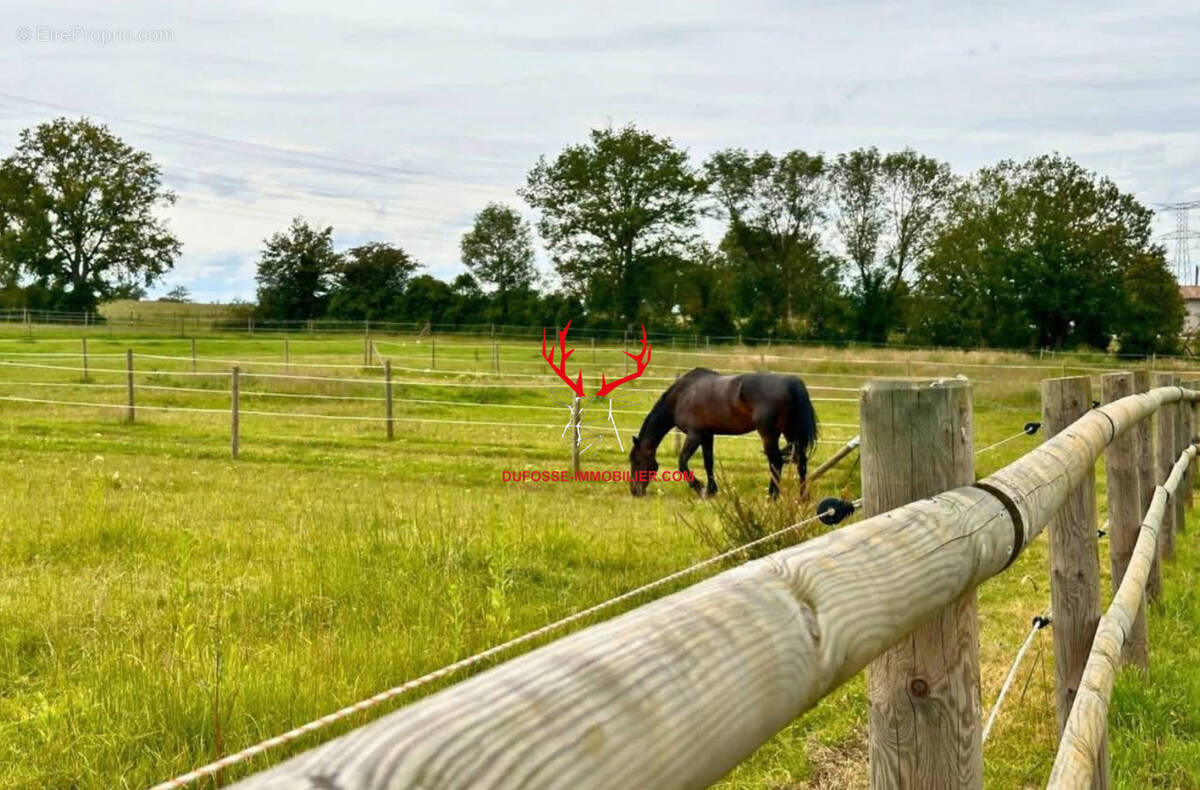 Maison à VILLEFRANCHE-SUR-SAONE