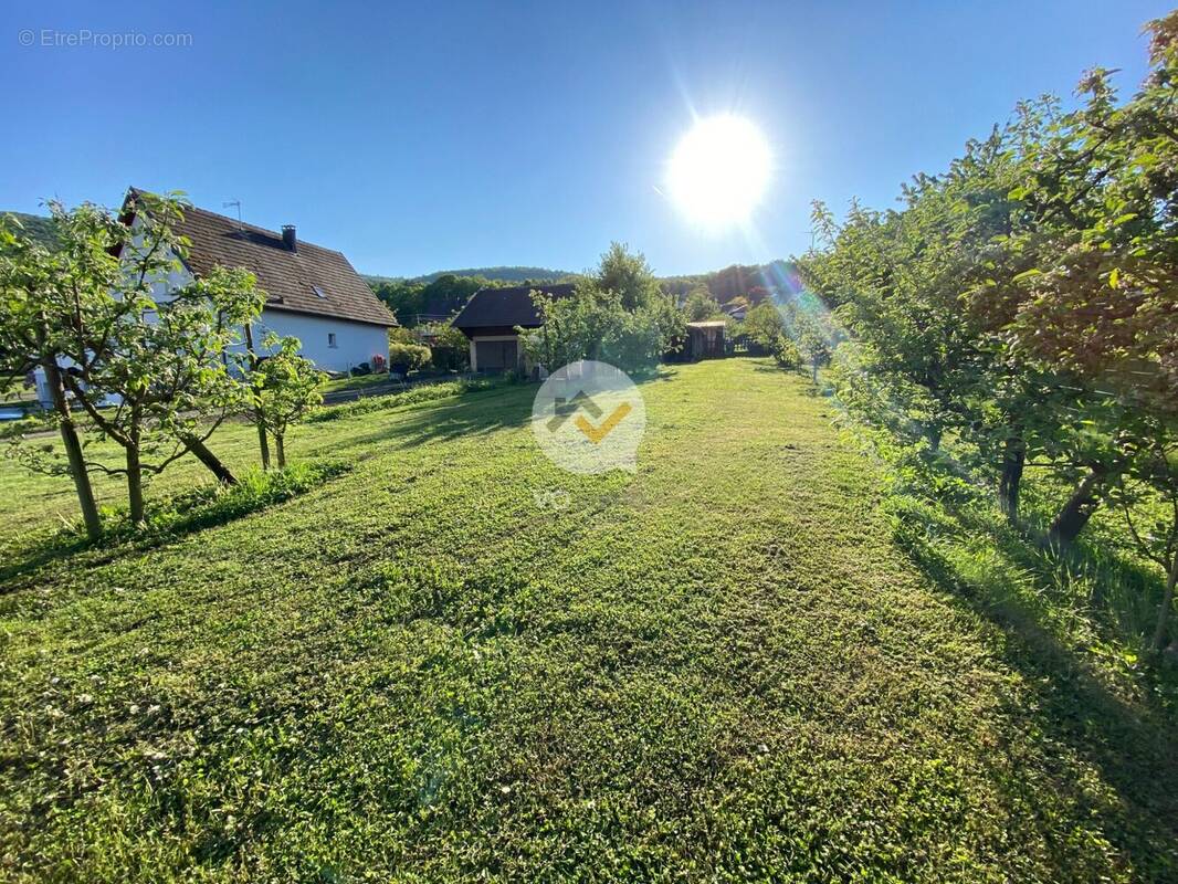 Terrain à ORSCHWIHR