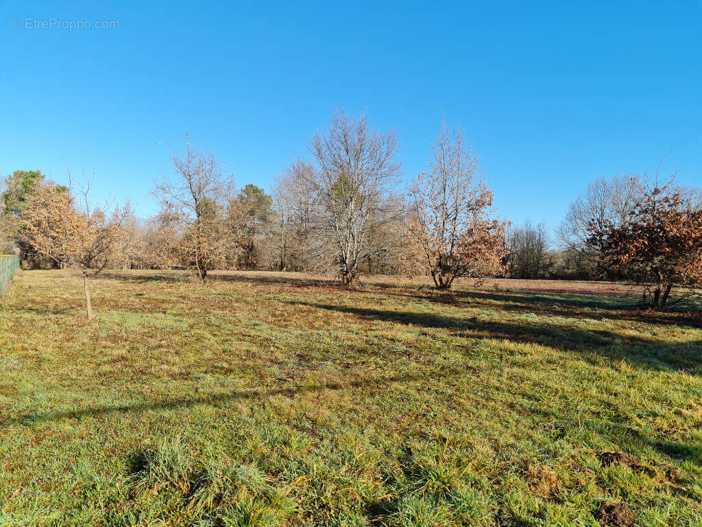 24400 entre Mussidan et Montpon  Terrain  de 11408 m² dont  constructible 4000m ² - photo 2