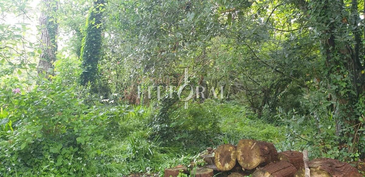 Terrain à PLOUGONVELIN